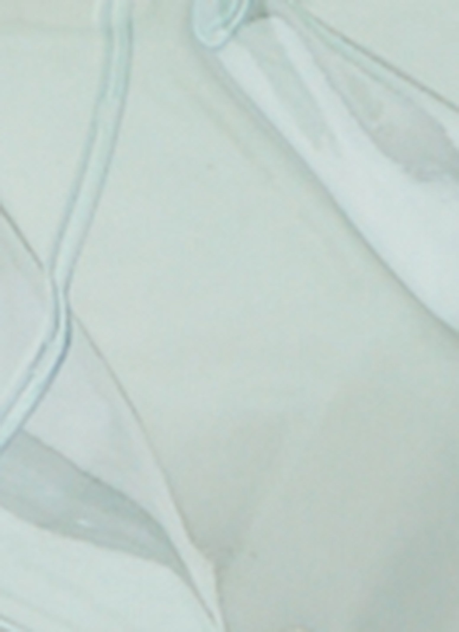 Soft Cloud Perfume、mySite、camillekostekn