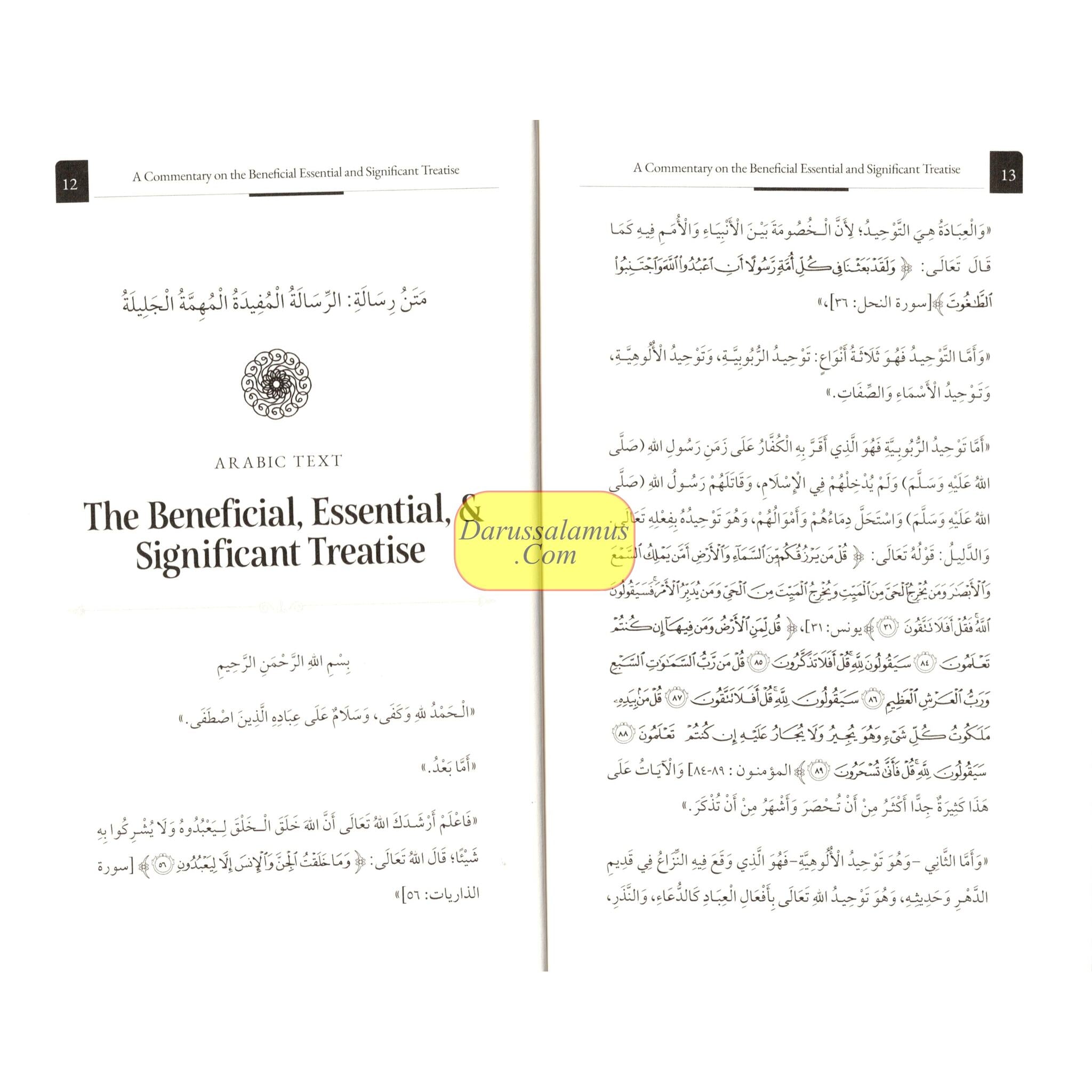 A Commentary on the Beneficial, Essential & Significant Treatise、mySite、topwebapps