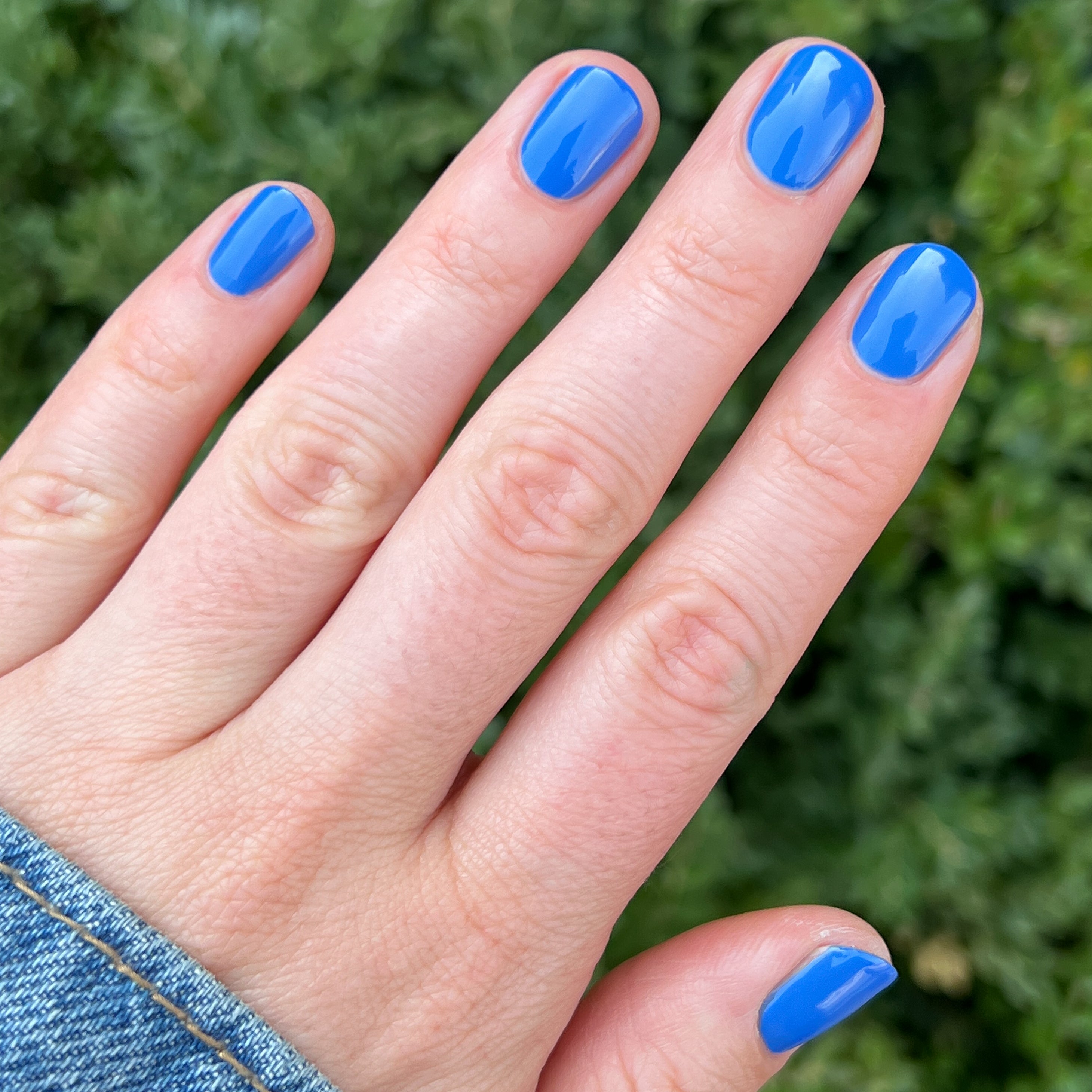 Blue Canoe、mySite、solidvoid