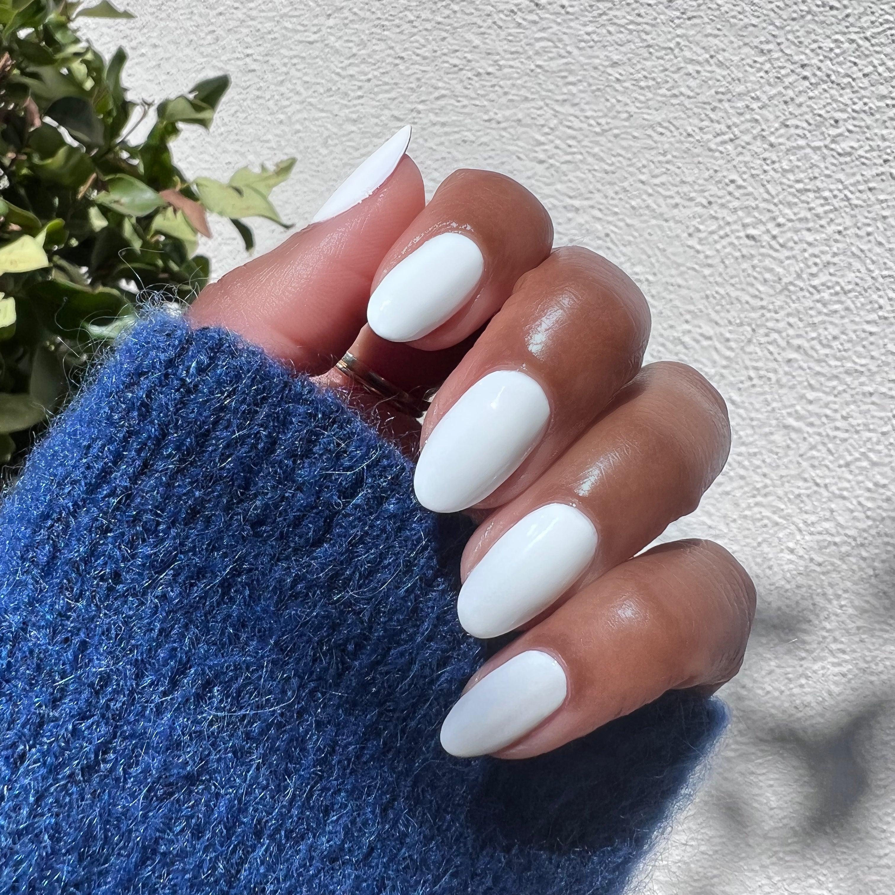 Swan、mySite、solidvoid