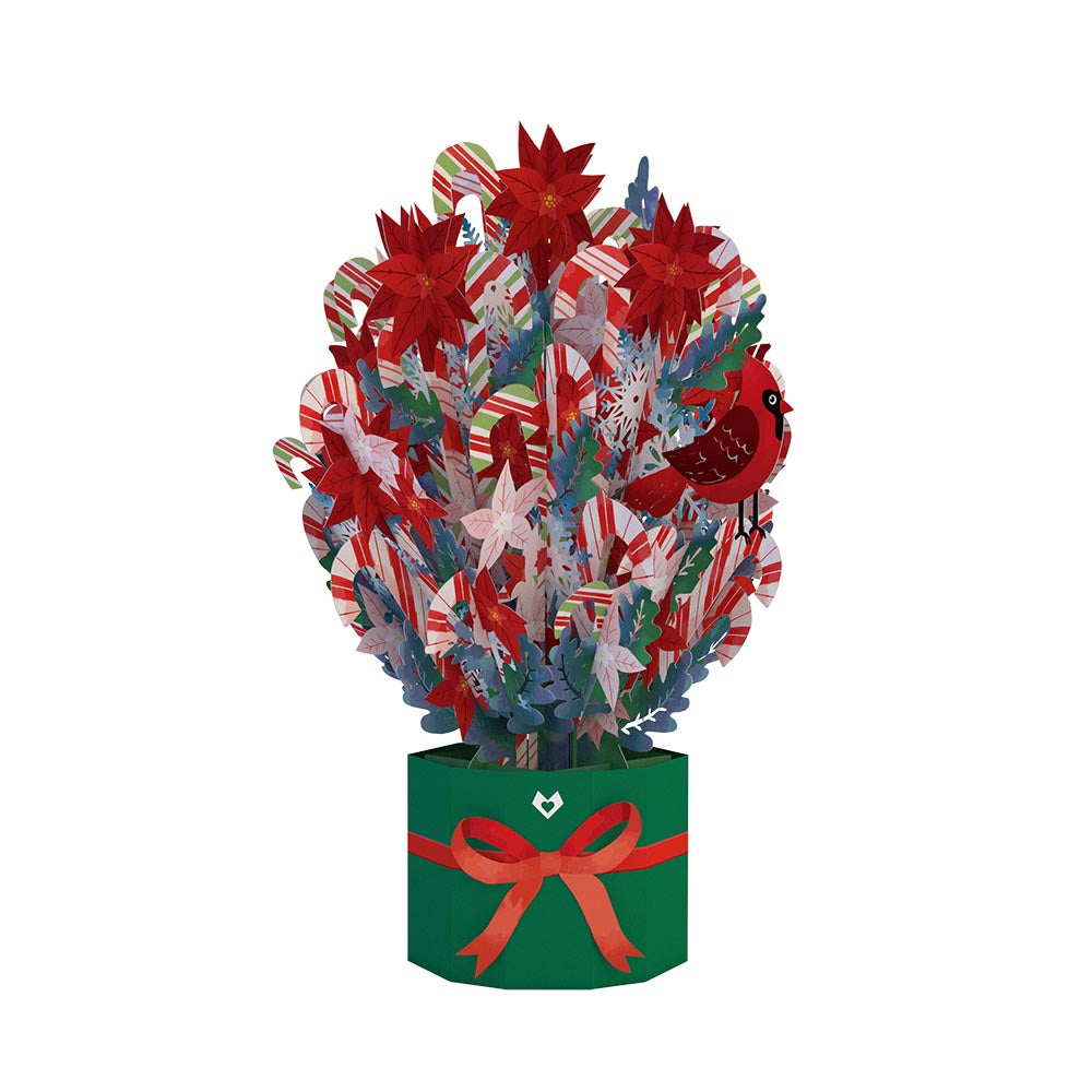 Holiday Poinsettia Grand Bouquet、mySite、solidvoid