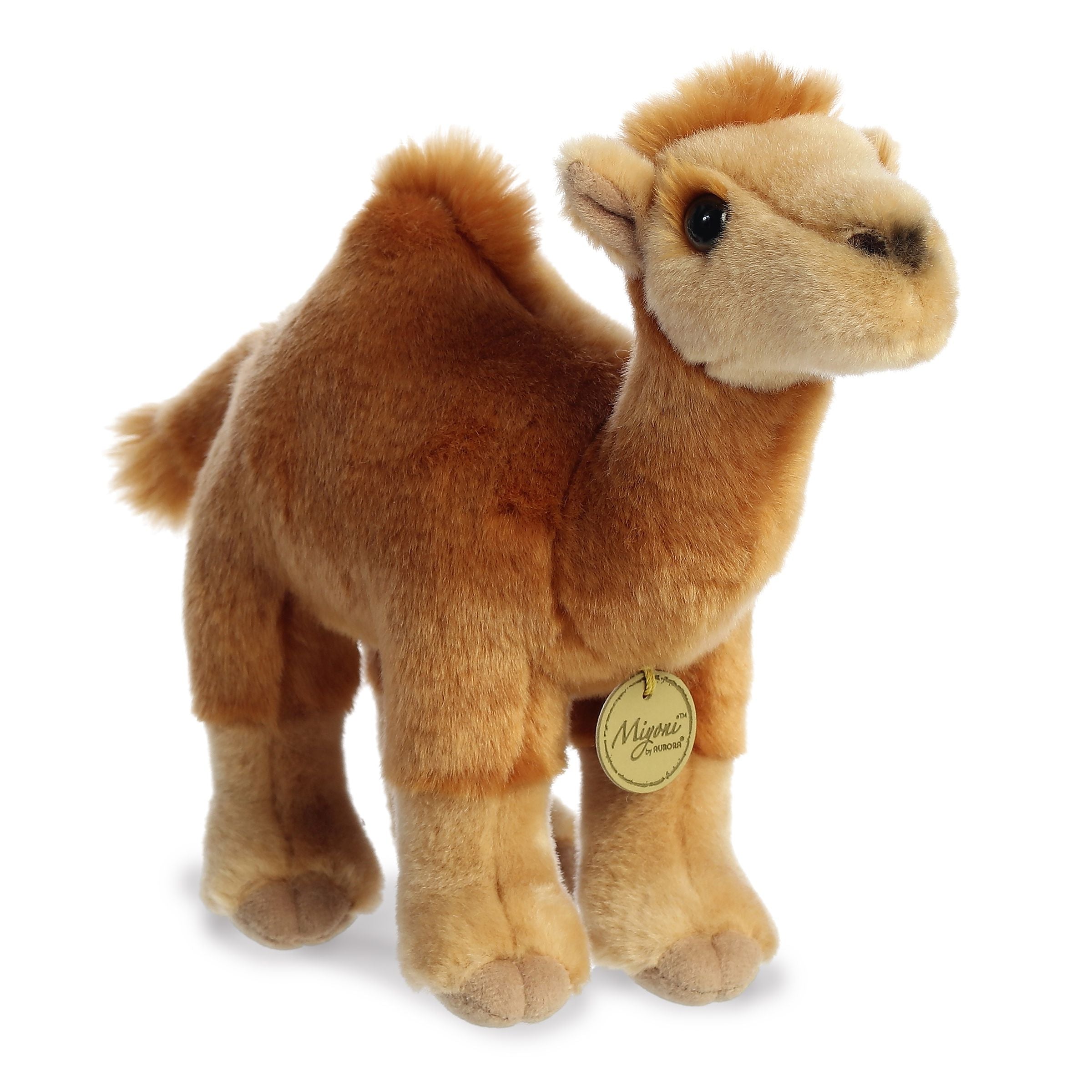 Aurora® - Miyoni® - 11 Dromedary Camel、mySite、g9winljtr
