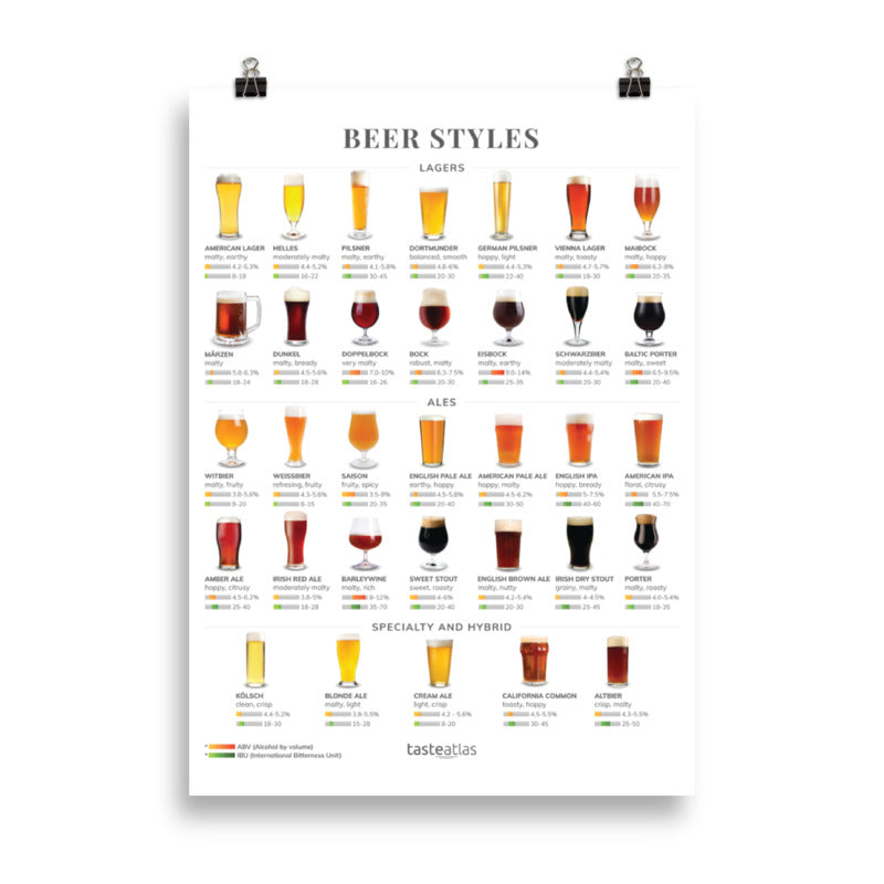 Beer Styles Poster (in)、mySite、camillekostekn