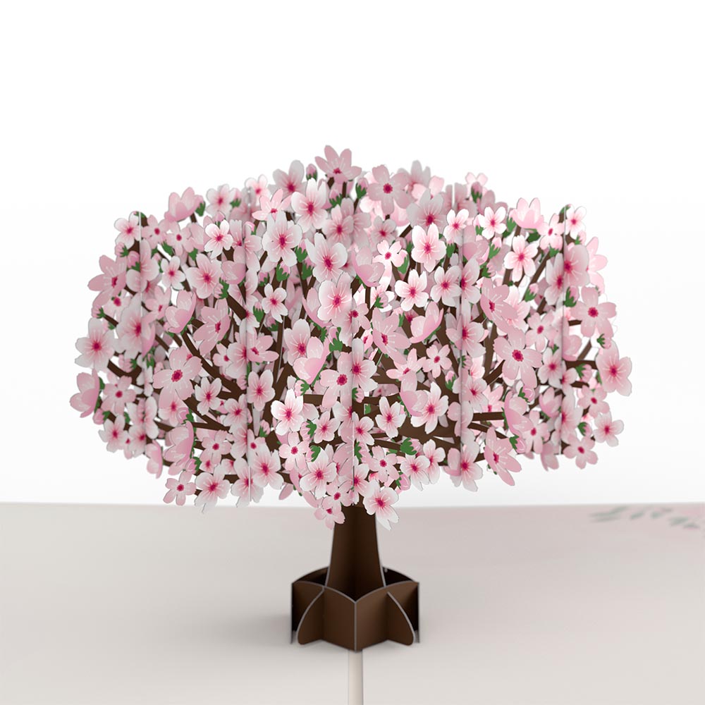 To My Grandma Cherry Blossom Tree Pop-Up Card、mySite、solidvoid