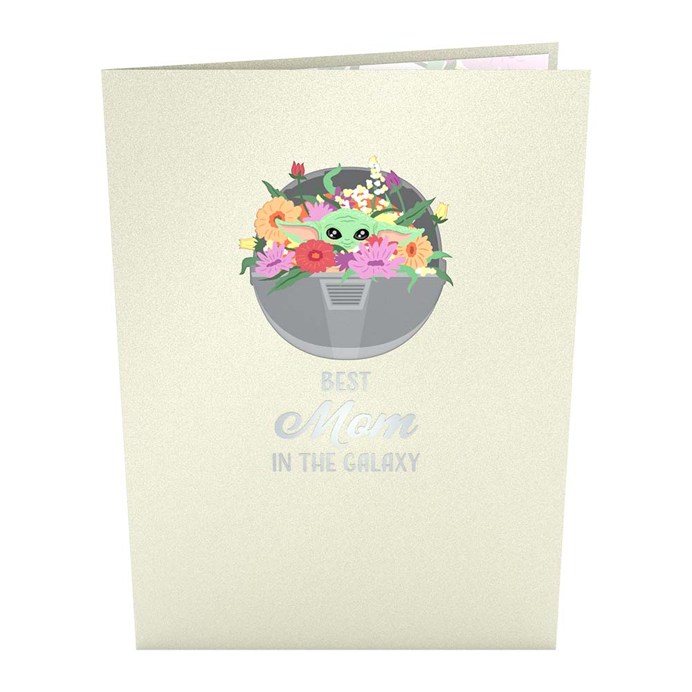 Star Wars™ The Mandalorian™ Grogu™ Floral Mother’s Day Bundle、mySite、solidvoid