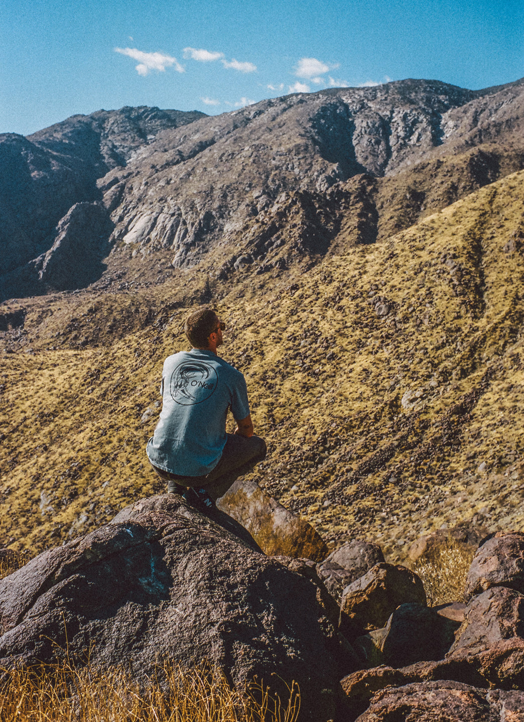 O'Neill Men's OG Circle Surfer Tee、mySite、noshort