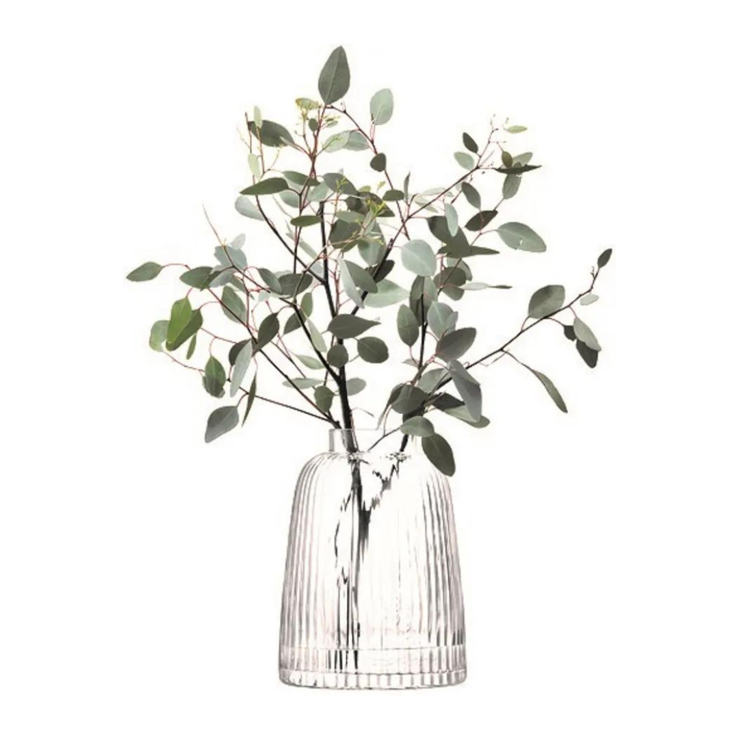  Pleated Vase Clear、mySite、elrpsem3k