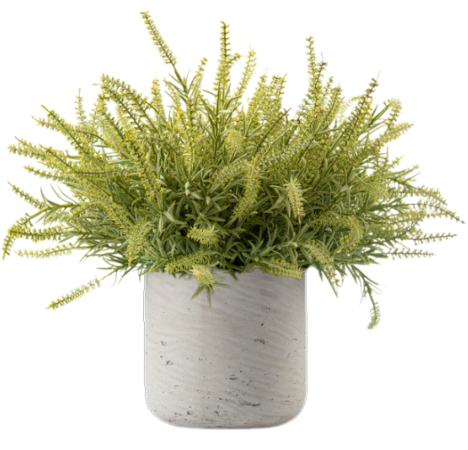  DH Ast Bush Floral、mySite、elrpsem3k