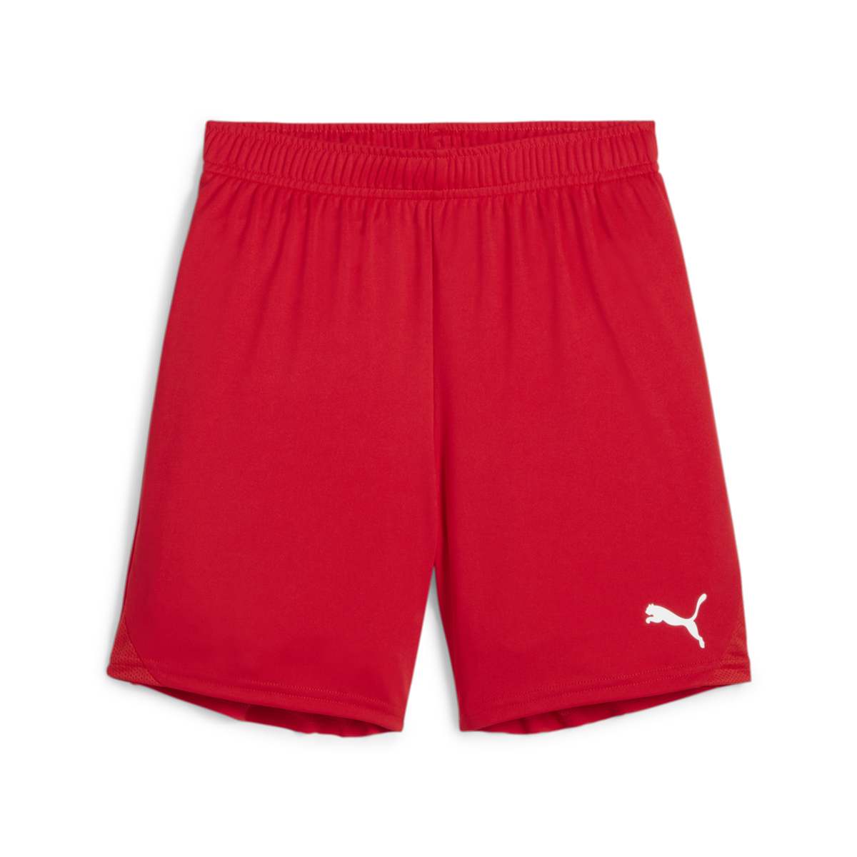 Puma Youth Teamgoal Shorts - Red、mySite、noshort