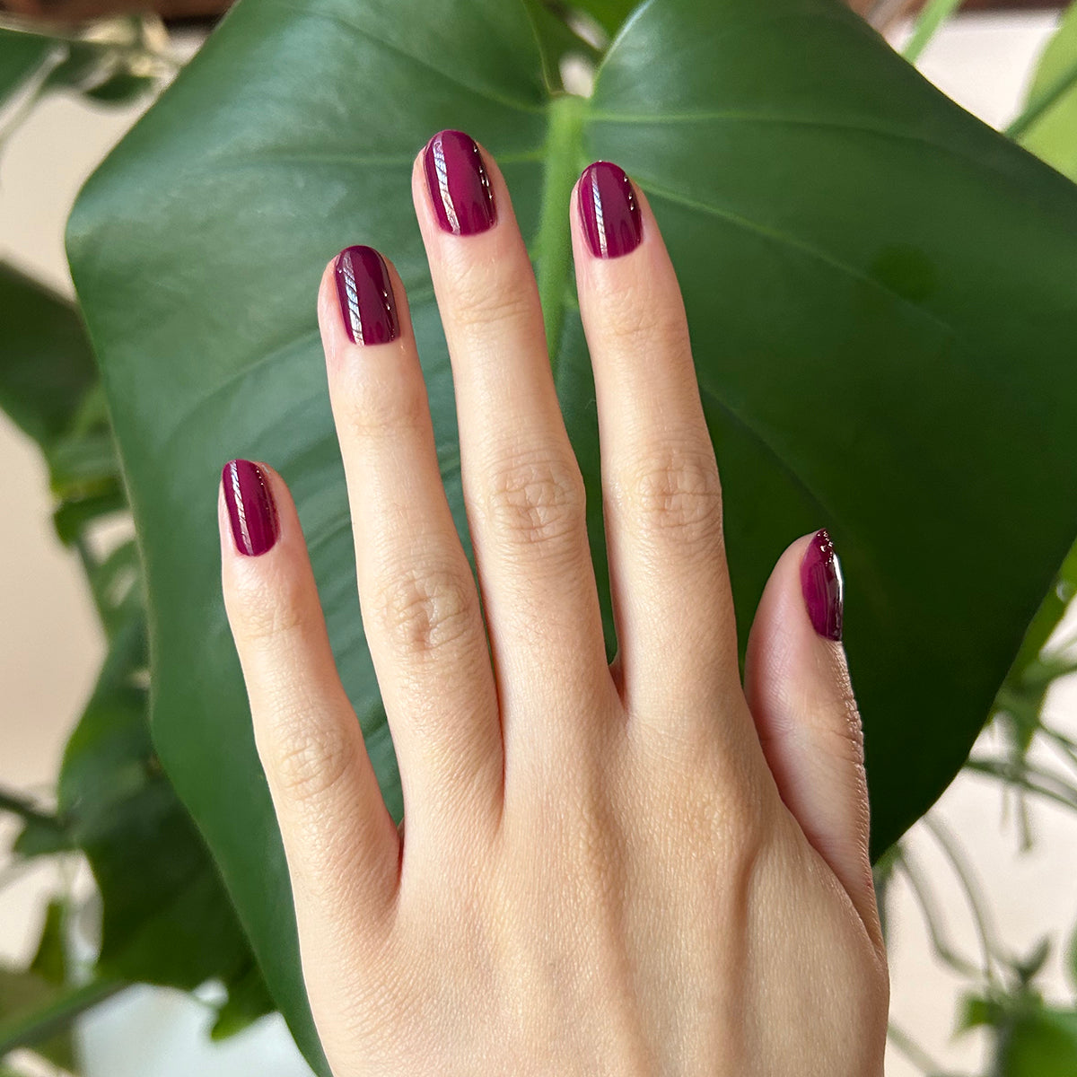 Plaza - Gel、mySite、solidvoid