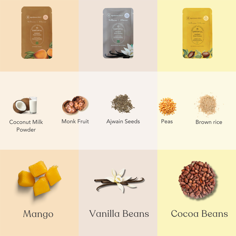 Plant Protein Powder Assorted Pack | Daily Use Sachet | Pack Of 6、mySite、camillekostekn