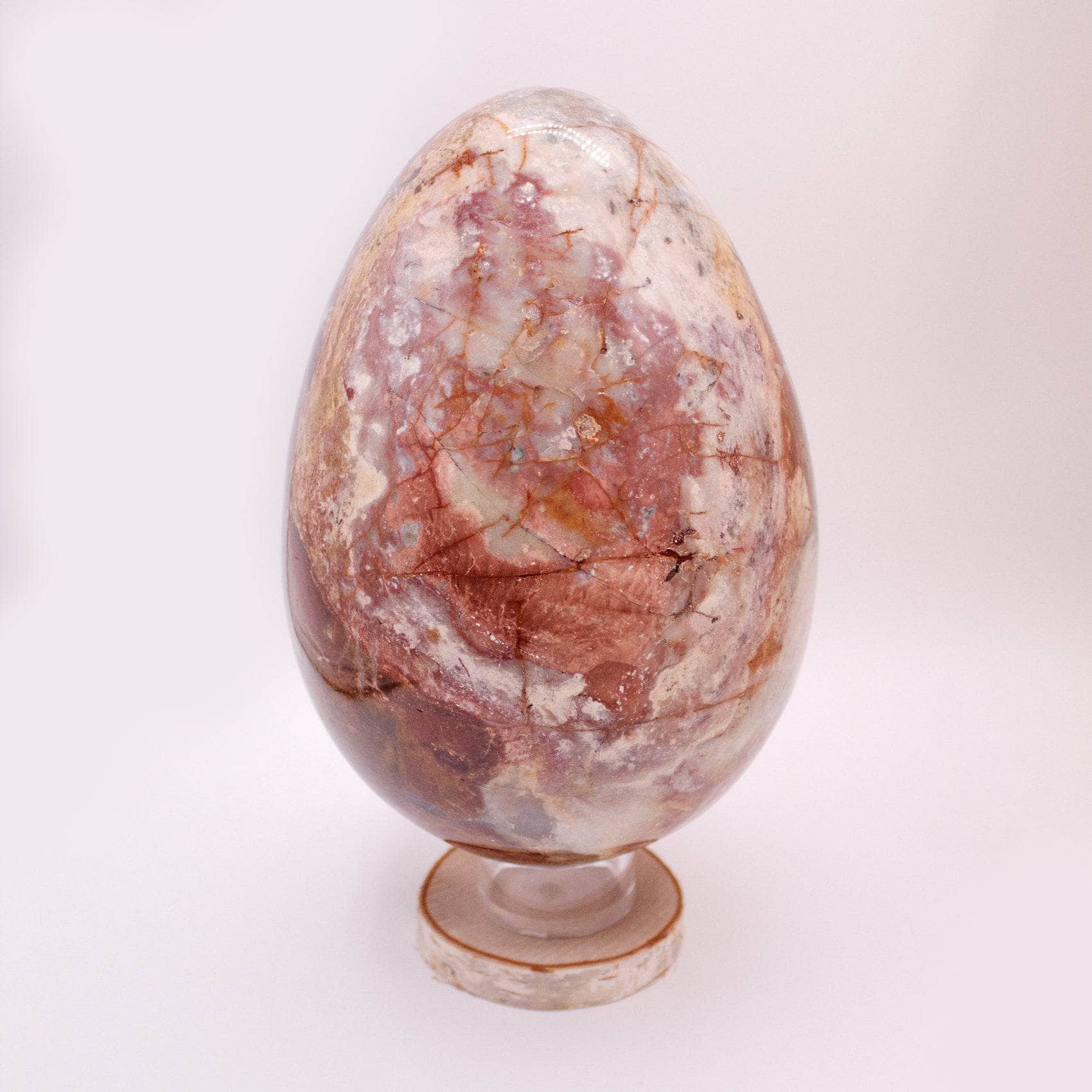 Petrified Wood Egg - AAA Premium Quality、mySite、hinf8tx79