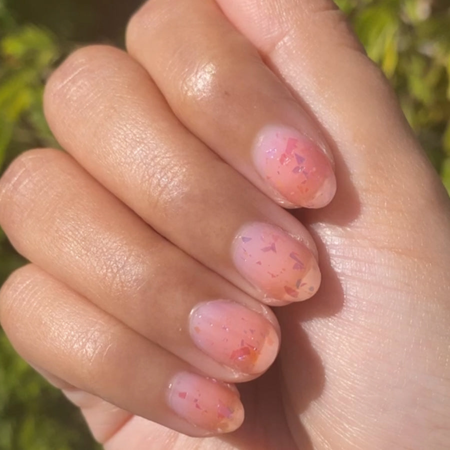 jelly baby、mySite、solidvoid