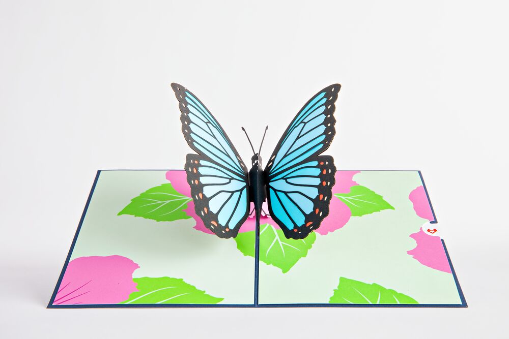 Tulip & Blue Morpho Butterfly Bundle、mySite、solidvoid