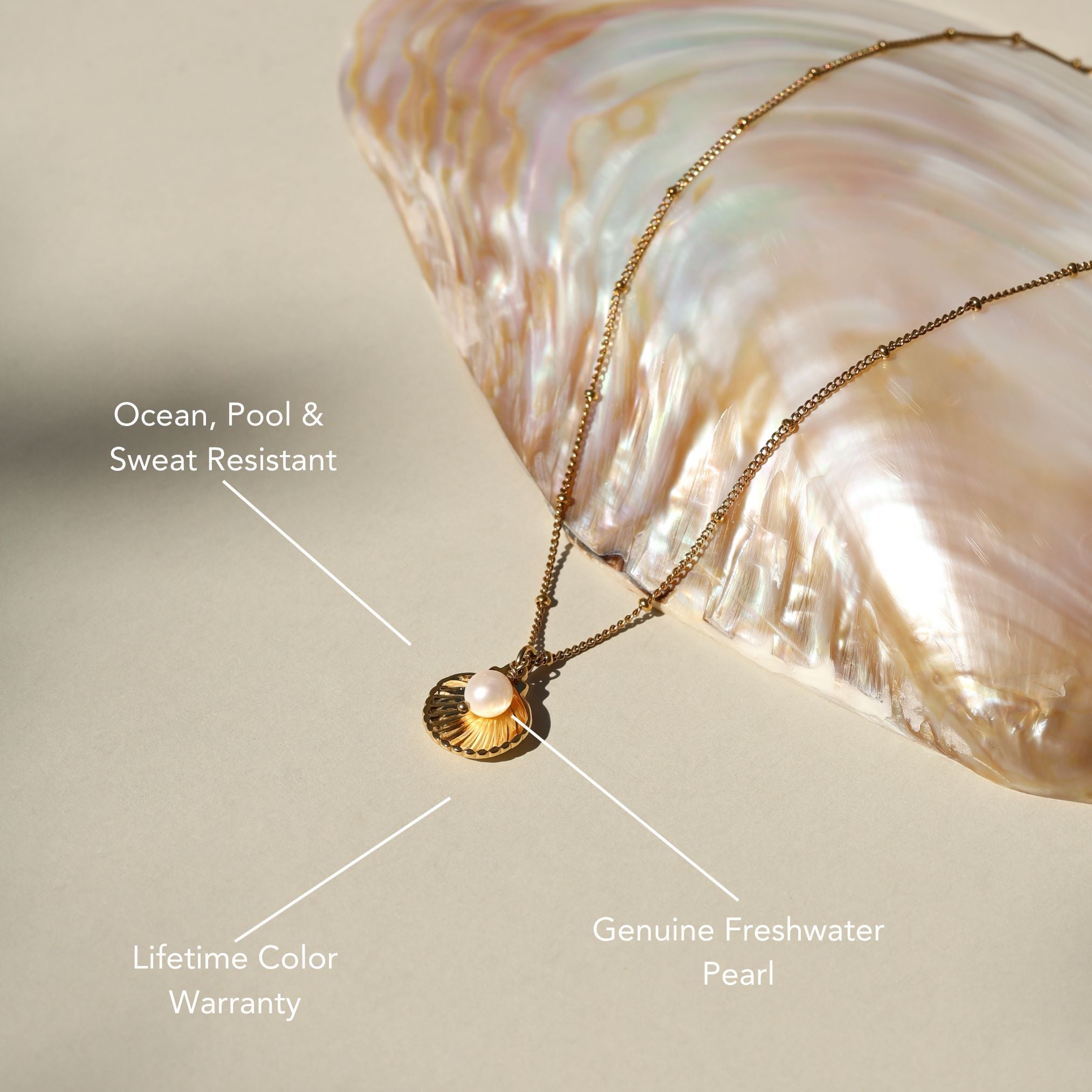 Seashell Necklace、mySite、hinf8tx79