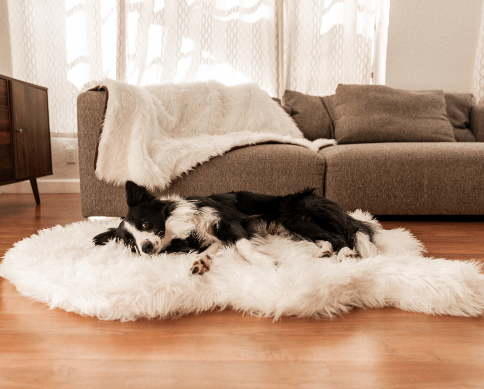 PupRug™ Orthopedic Bed + Matching Waterproof Blanket Bundle - Polar White、mySite、solidvoid