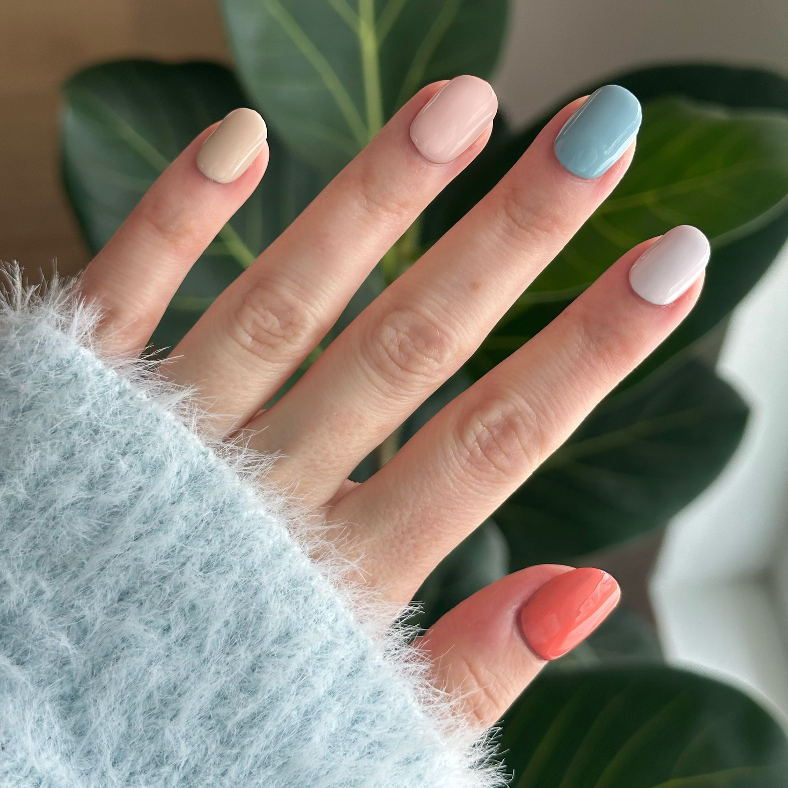 Sunset Season、mySite、solidvoid