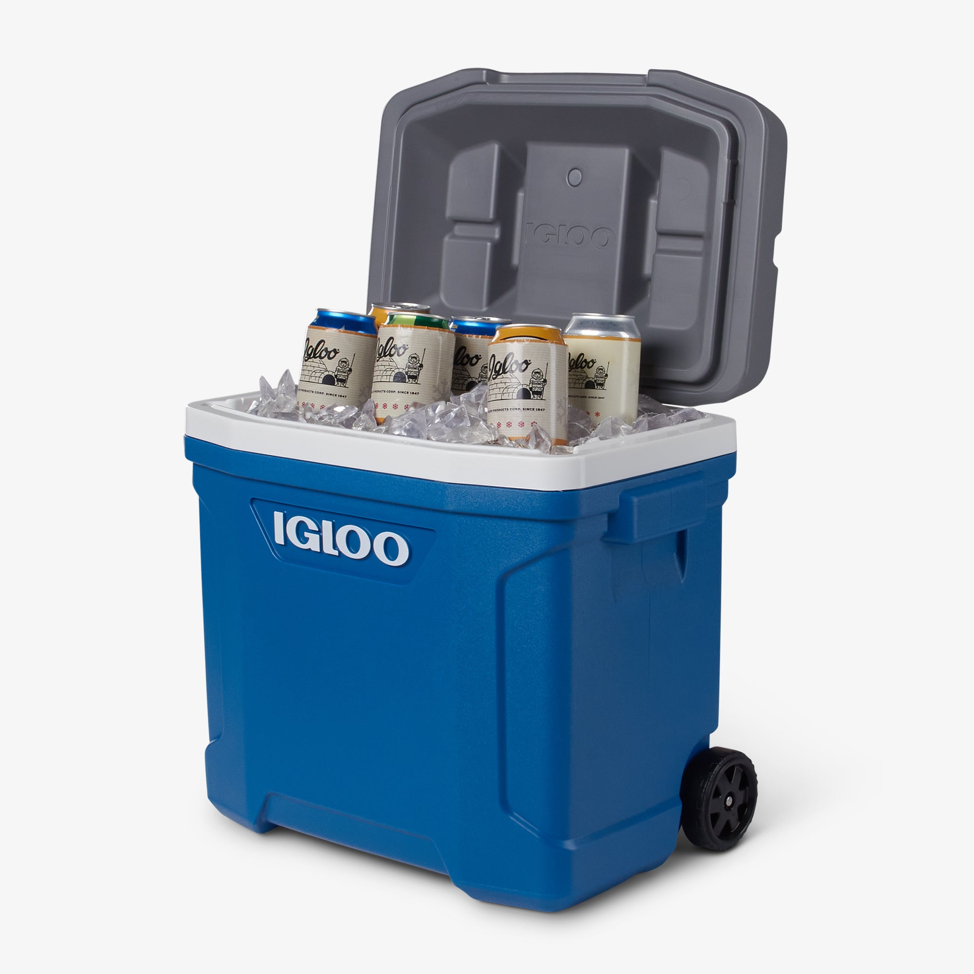 Latitude 30 Qt Roller Cooler、mySite、noshort