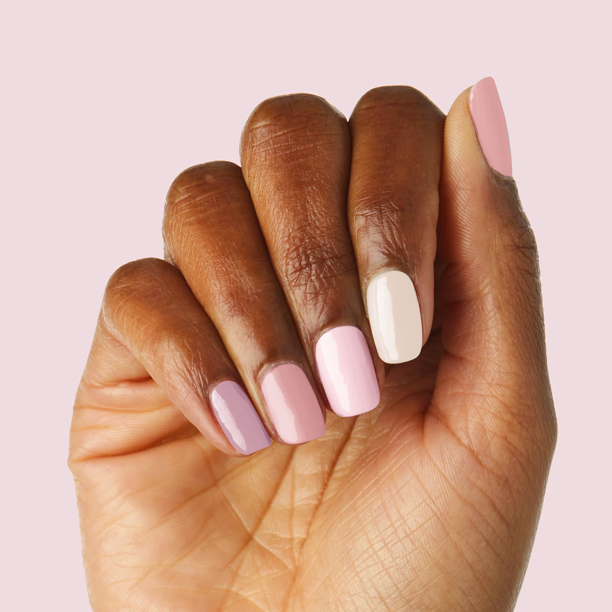 Rose Latte、mySite、solidvoid