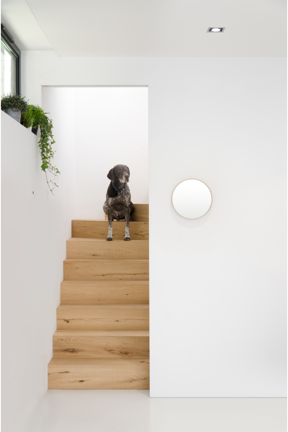 Oak Wooden Round Wall Mirror | Wireworks Glance 310、mySite、neckold