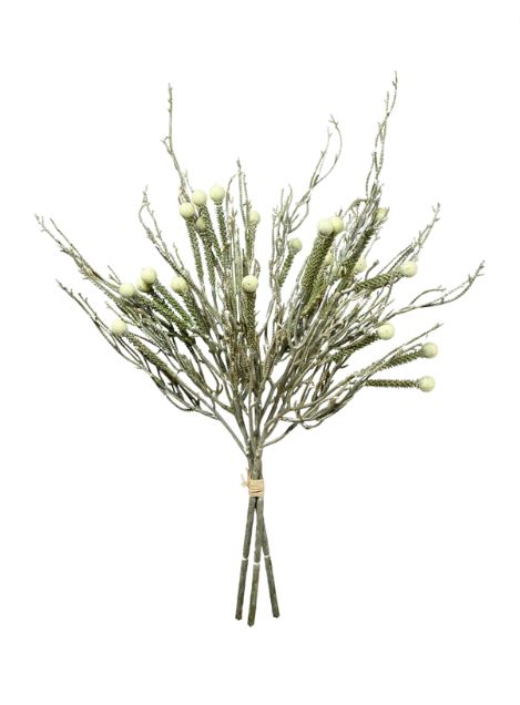  Berzilia Bundle、mySite、elrpsem3k