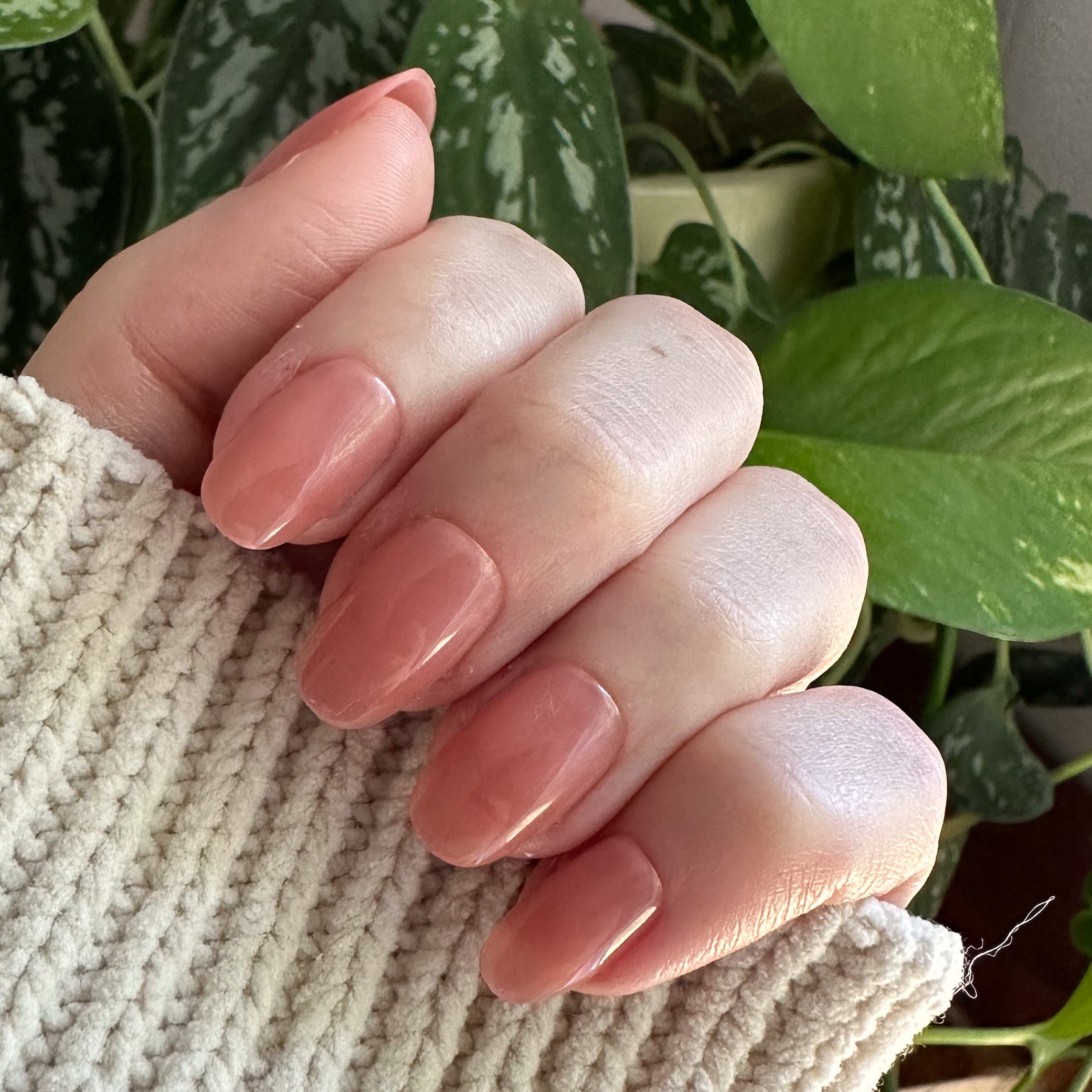 World Lit Jelly - Press-On | Short | Round、mySite、solidvoid