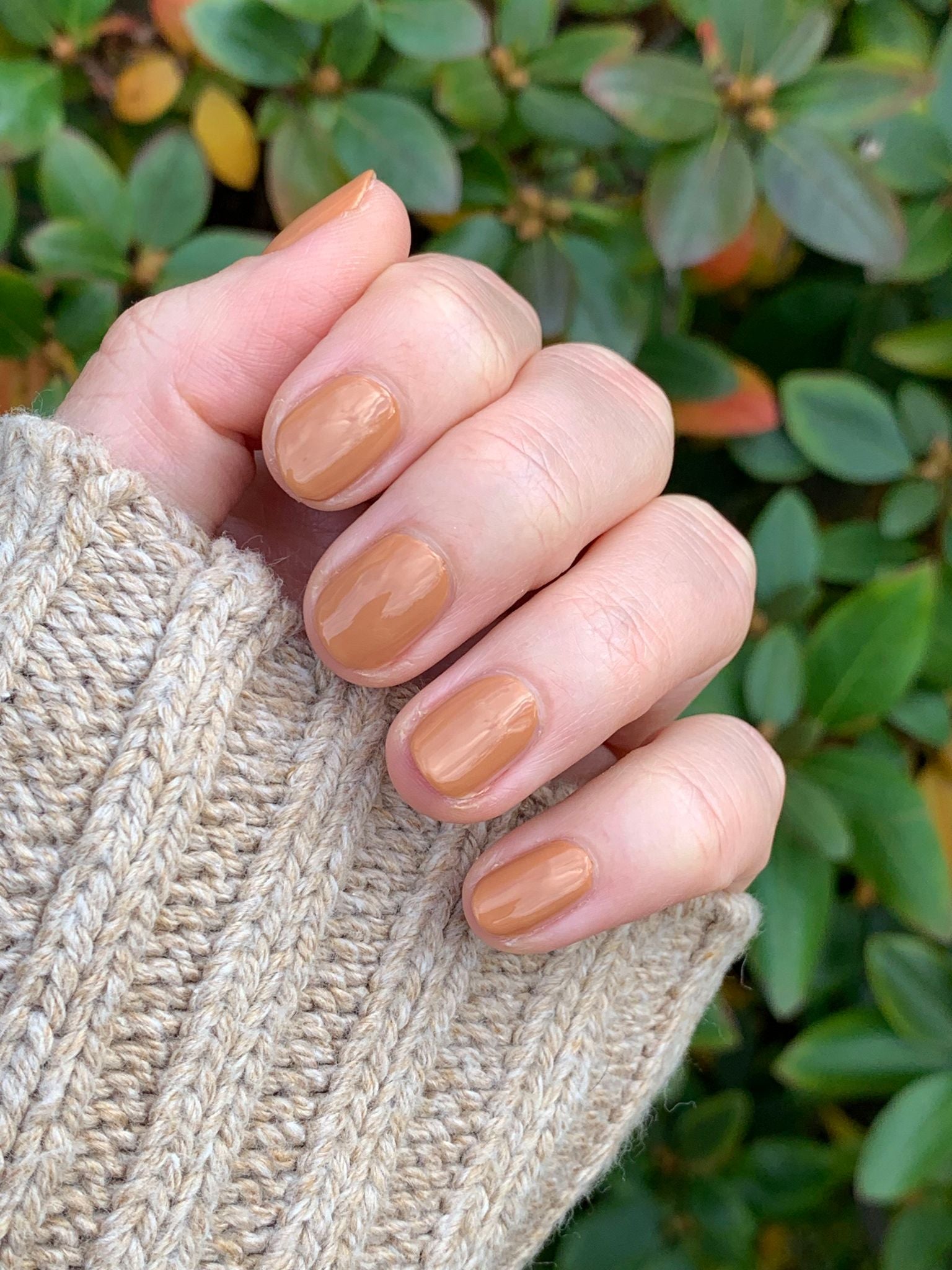 Caramel Budino、mySite、solidvoid