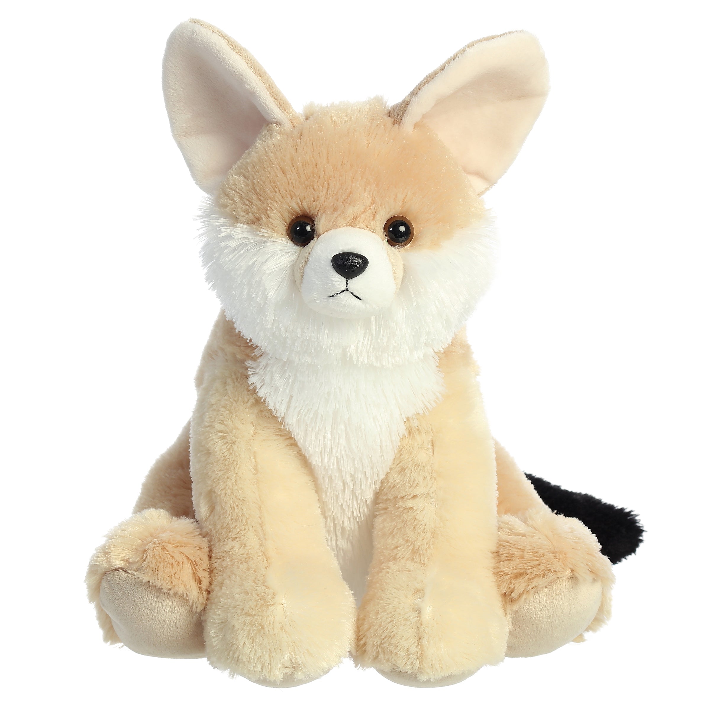 Aurora® - 14 Fennec Fox、mySite、g9winljtr