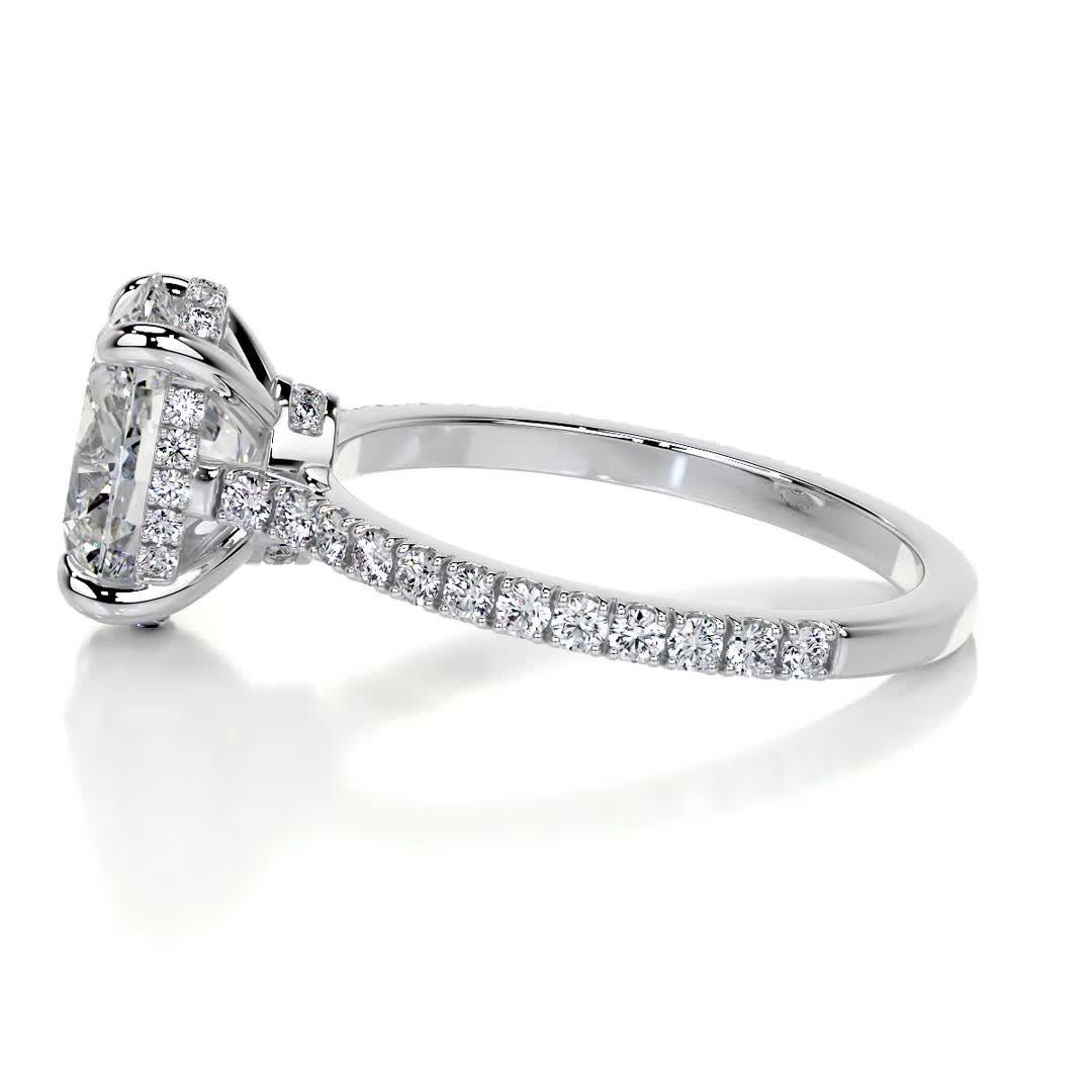 Dionne Moissanite & Diamond Ring -14K White Gold (RTS)、mySite、hinf8tx79