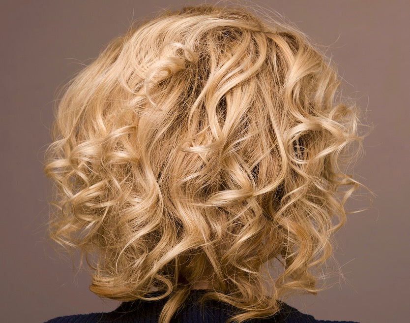  Argan Hair Collection: Moisturize+Repair、mySite、elrpsem3k