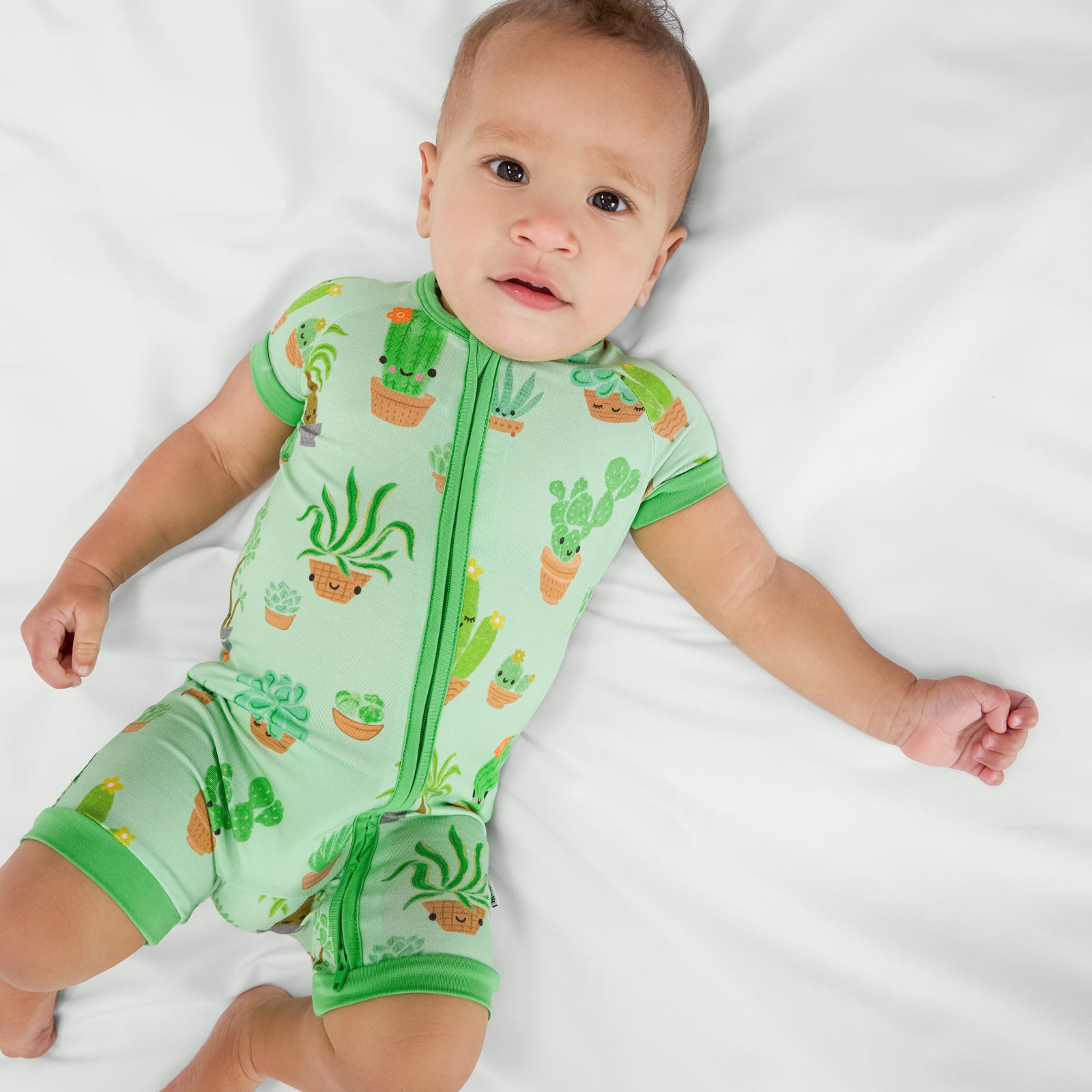 Succulent Love Shorty Zippy、mySite、g9winljtr