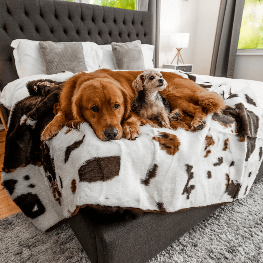 Paw.com x BarkBox PupProtector™ Waterproof Throw Blanket - Brown Faux Cowhide、mySite、solidvoid