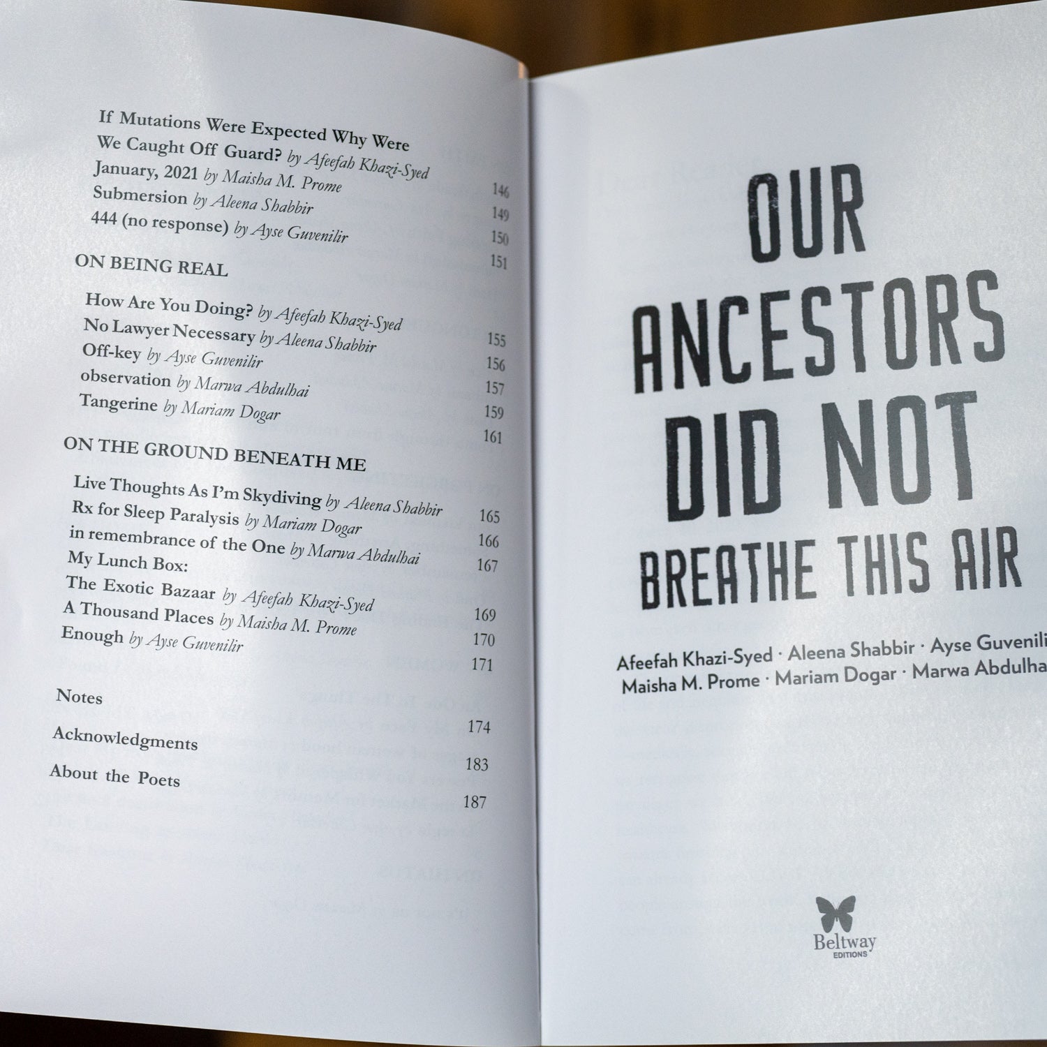 Our Ancestors Did Not Breathe This Air、mySite、topwebapps