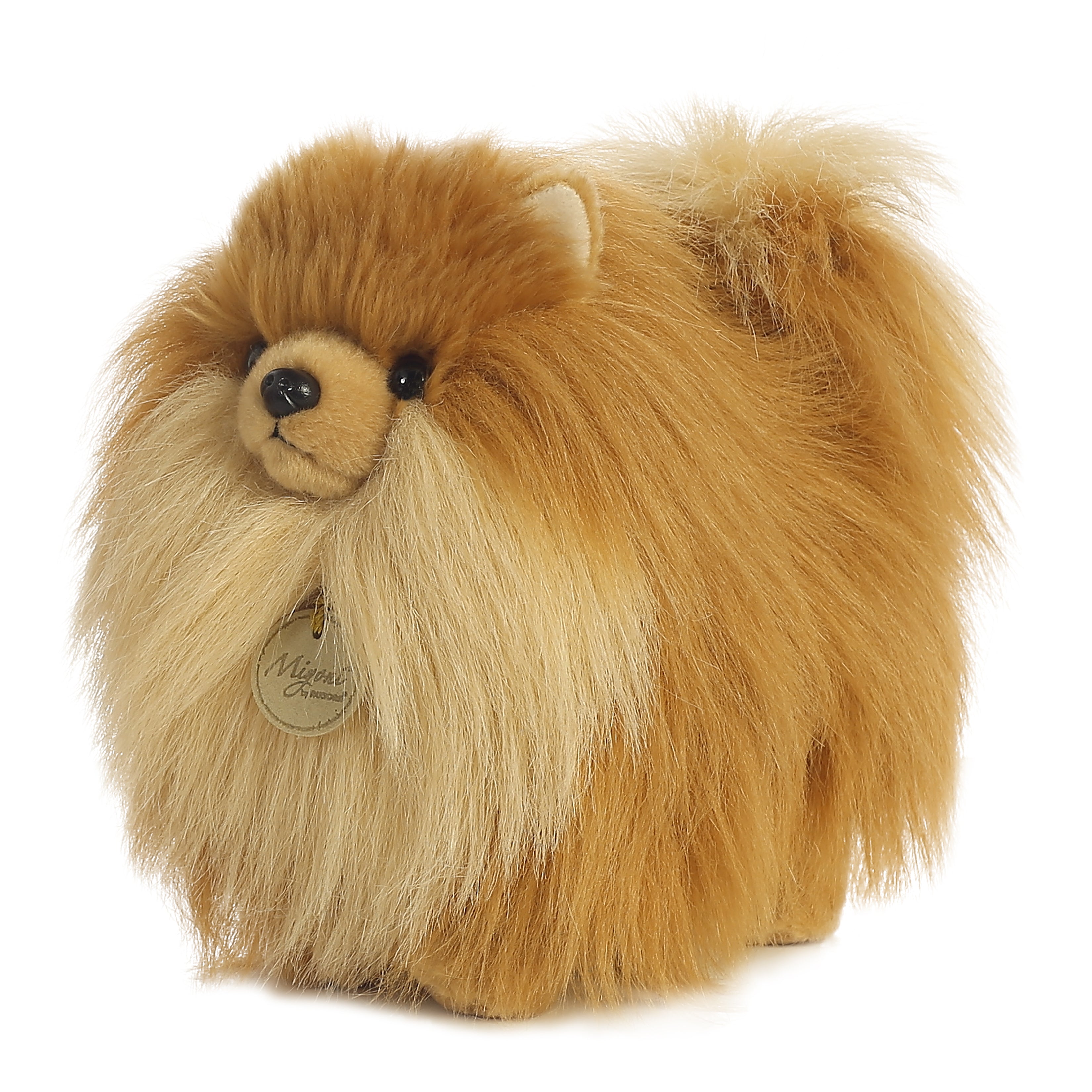Aurora® - Miyoni® - 9 Pomeranian、mySite、g9winljtr