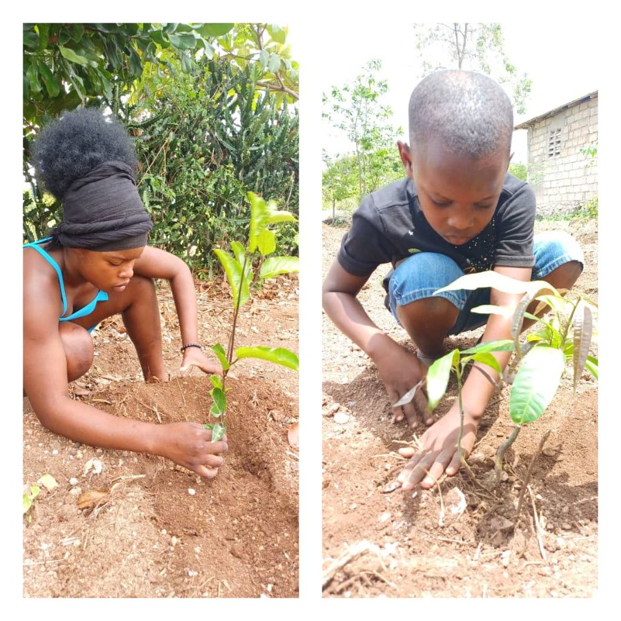 Hope in Crisis: Ensure Children in Haiti Eat Today、mySite、camillekostekn