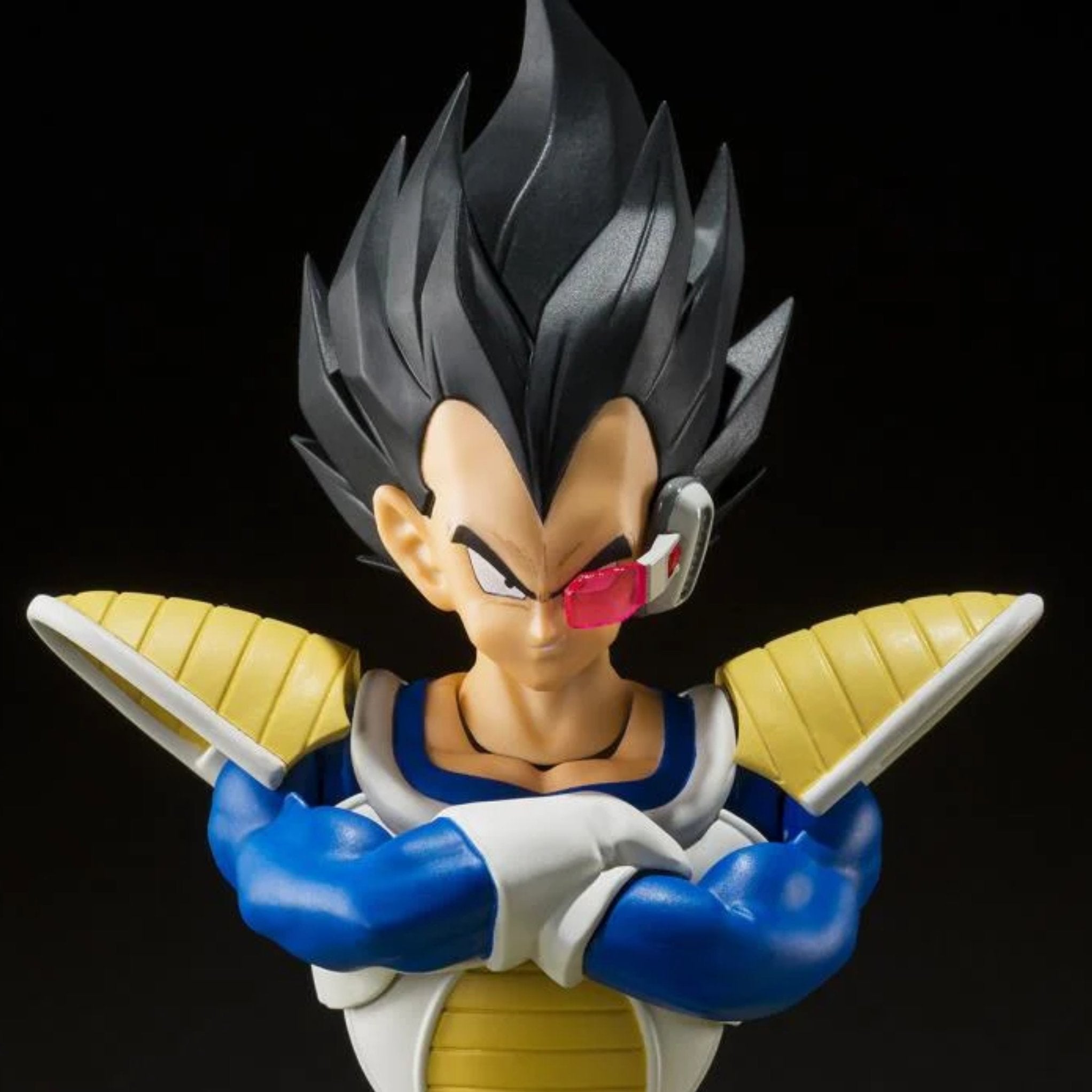 S.H. Figuarts Premium Bandai Exclusive Dragonball Z Vegeta (Power Level 24000)、mySite、hgirdovlk