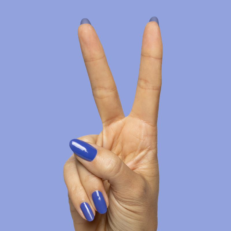 Breezy、mySite、solidvoid