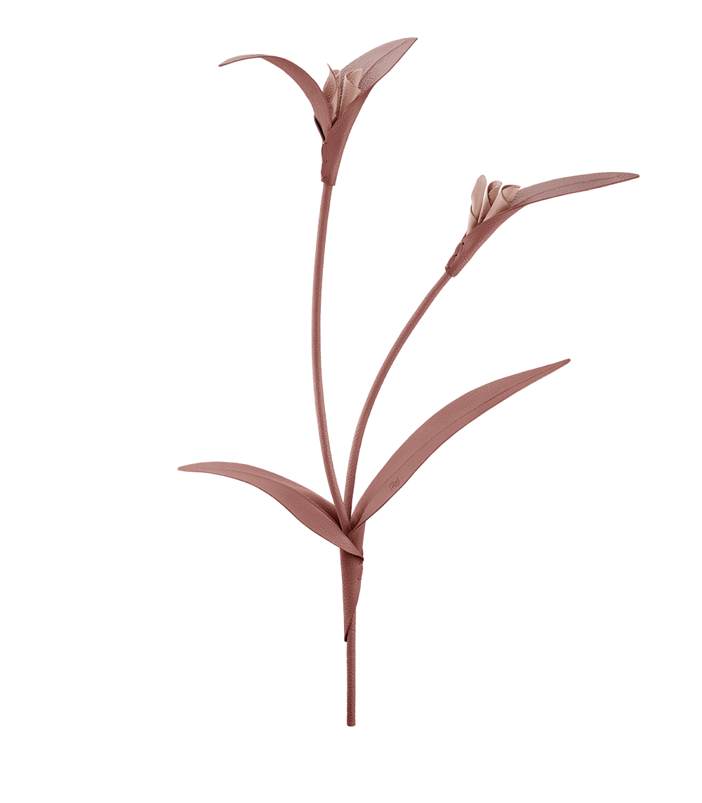 Fleur Touka - Trio Blush Grain茅、mySite、camillekostekn