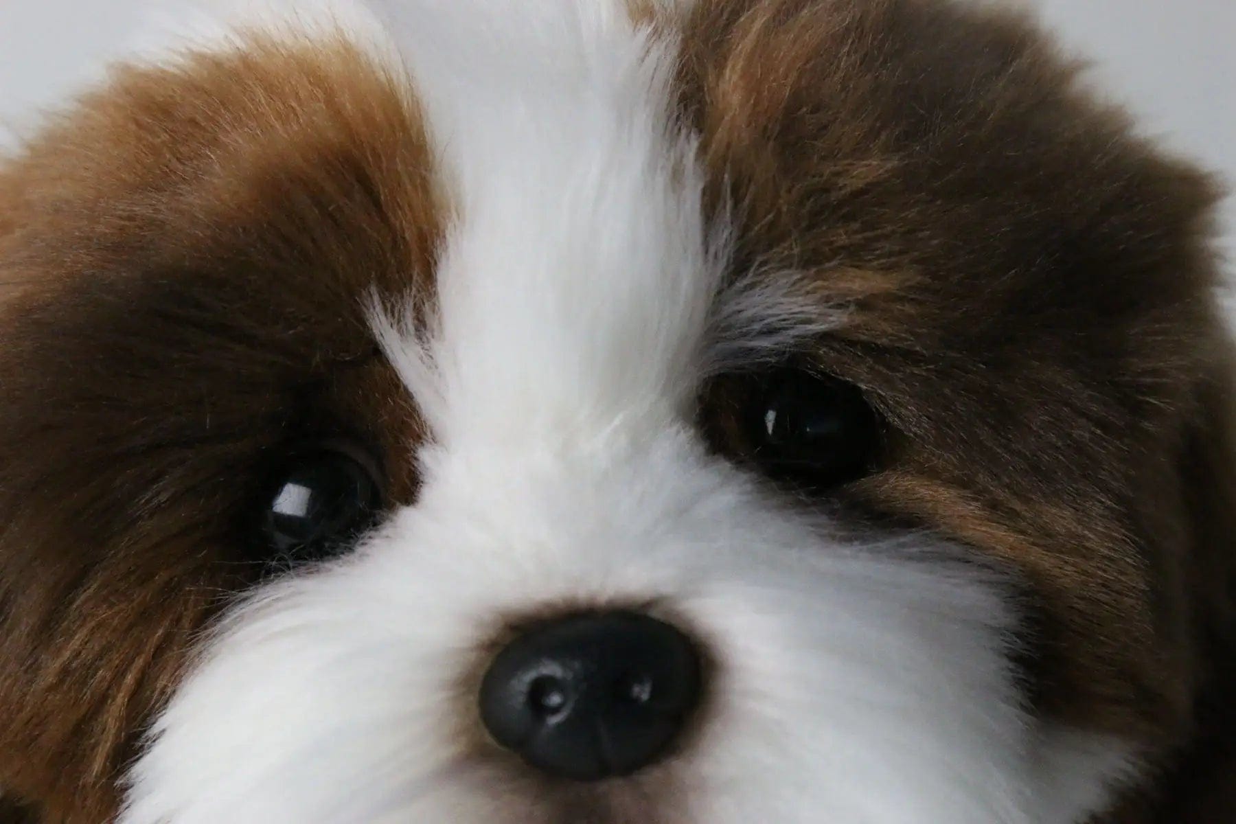 Plush Shih Tzu Puppy Brown and White、mySite、g9winljtr