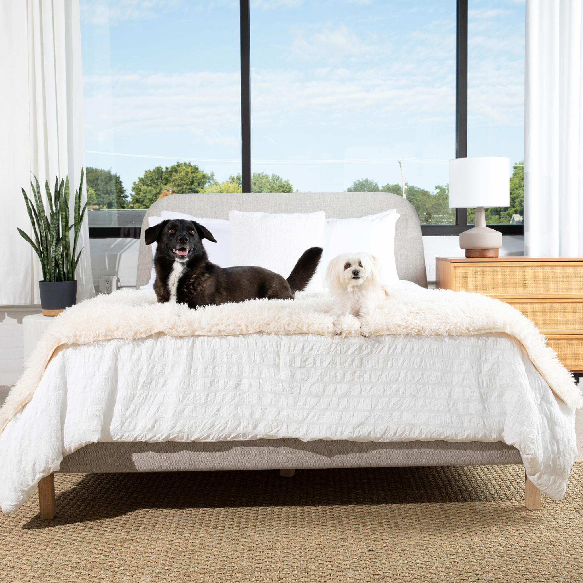 PupProtector™ Luxe Waterproof Bed Runner - Plush Sheep Ivory、mySite、solidvoid