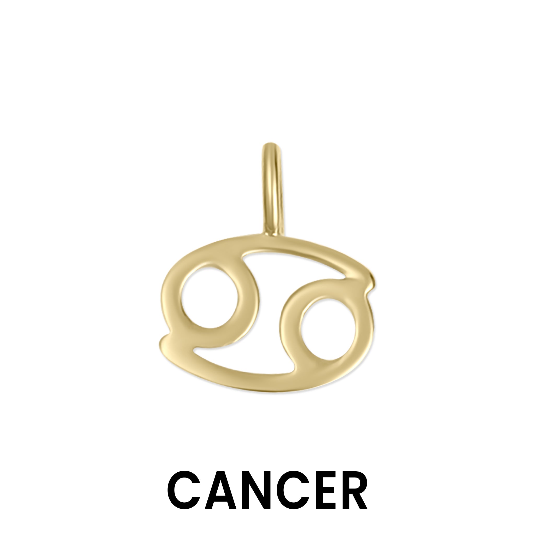 Permanent Jewelry 14K Solid Gold Zodiac Charms / PMJ1017、mySite、dreamappss