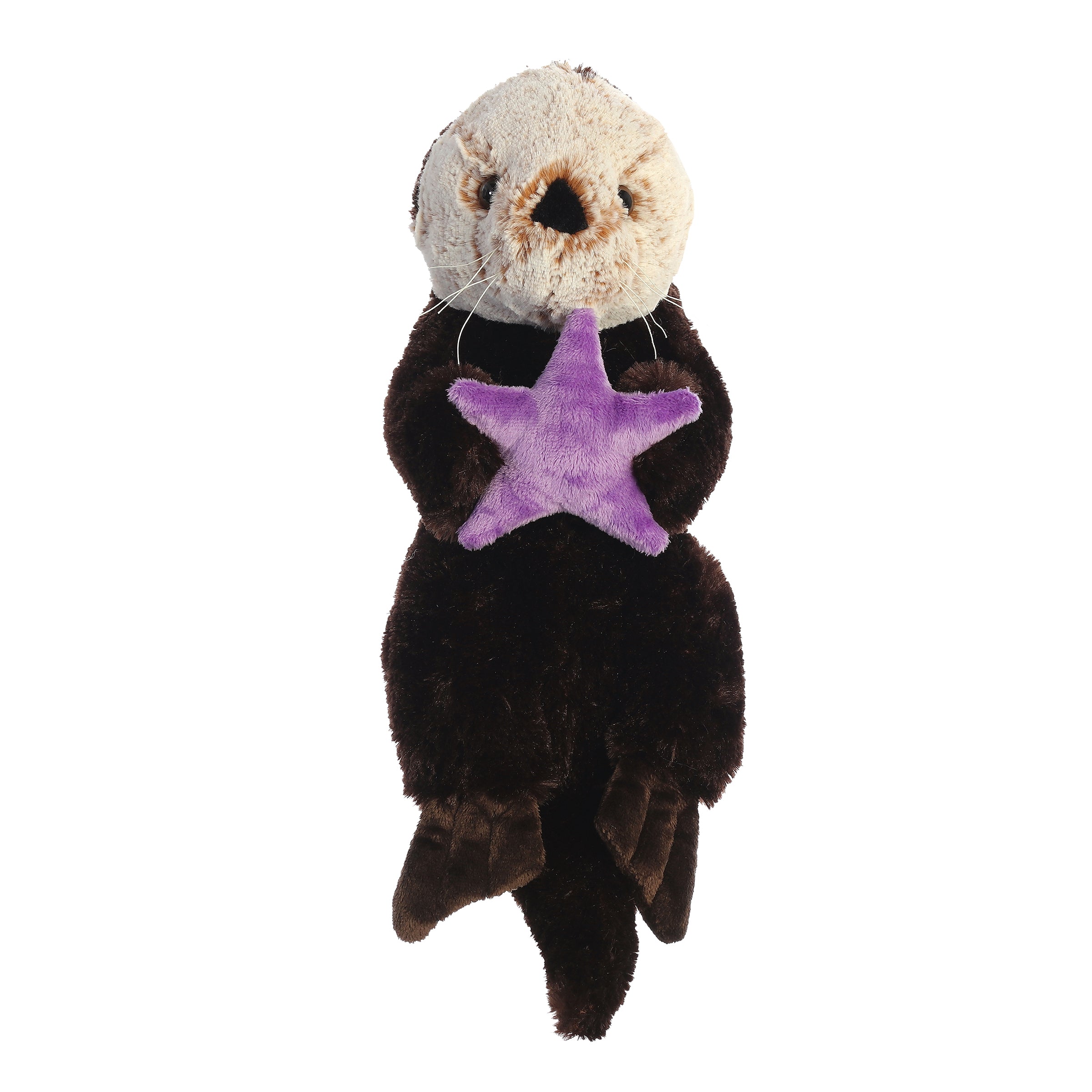 Aurora® - Destination Nation™ - 13 Sea Otter、mySite、g9winljtr