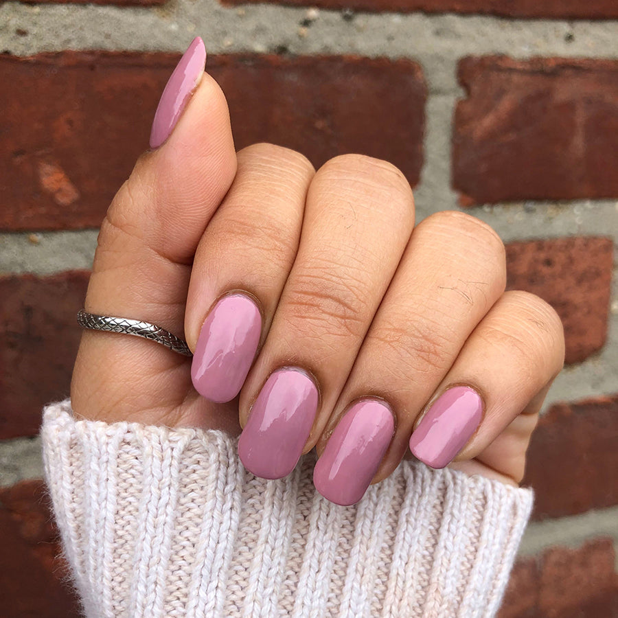 The Fall 2021 Set、mySite、solidvoid