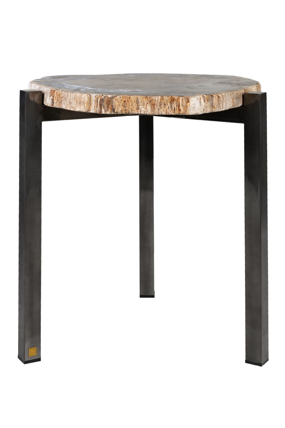 Petrified Wood Occasional Table | Versmissen、mySite、neckold
