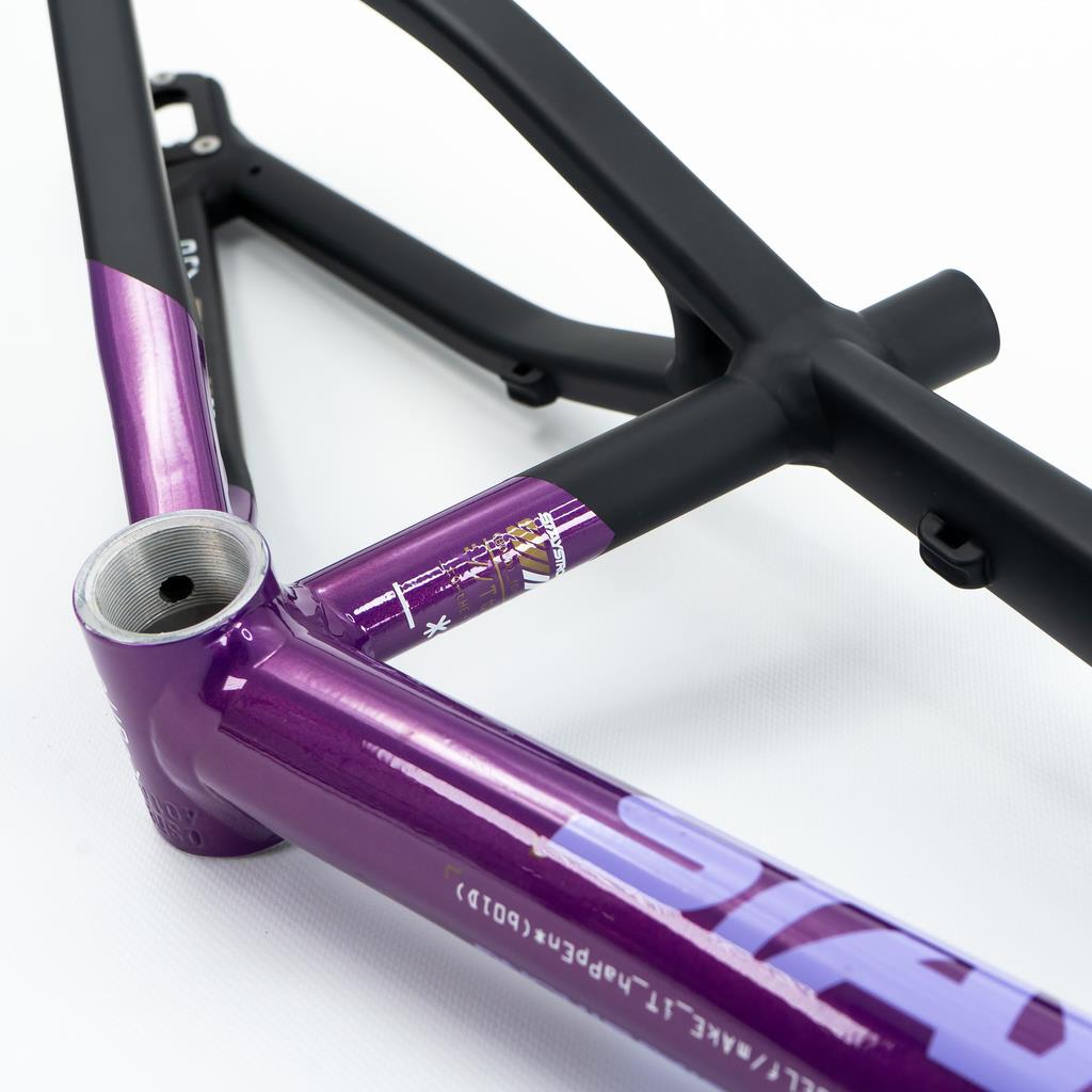  Stay Strong For Life V5 Cruiser Expert XL Frame 2025、mySite、merchandisen