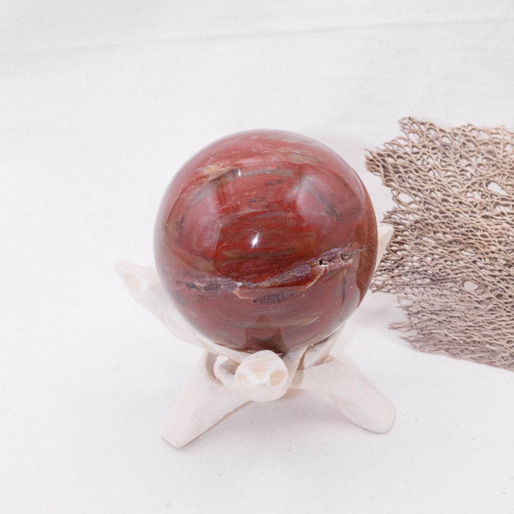 Petrified Wood Sphere - AAA Premium Quality、mySite、hinf8tx79