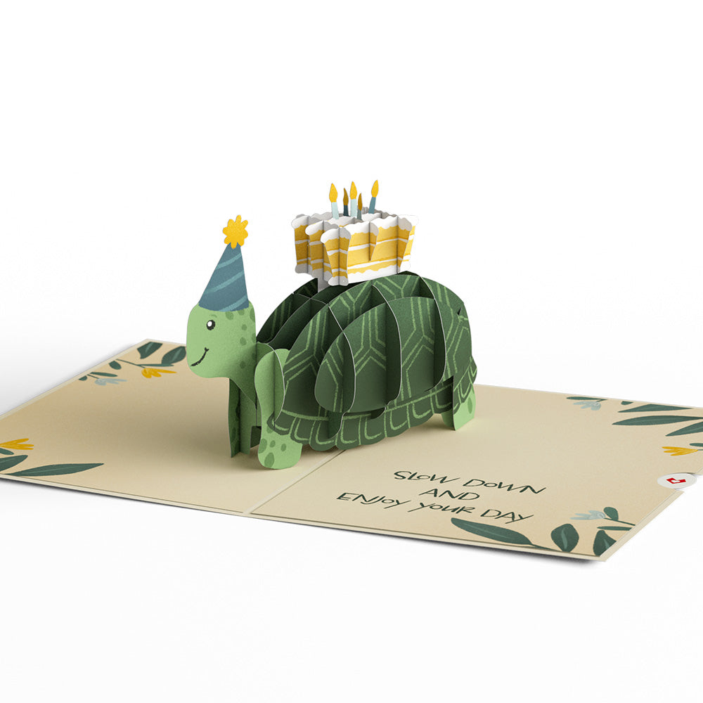 Shell-ebrate Birthday Turtle Pop-Up Card、mySite、solidvoid