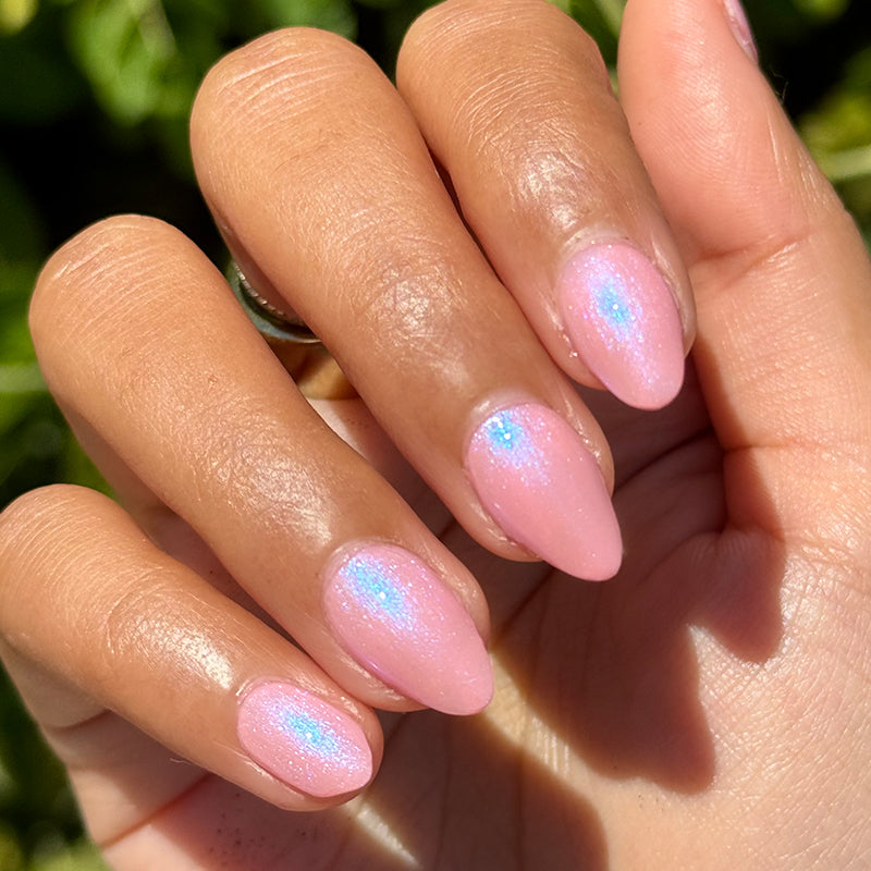 Candy Shoppe、mySite、solidvoid