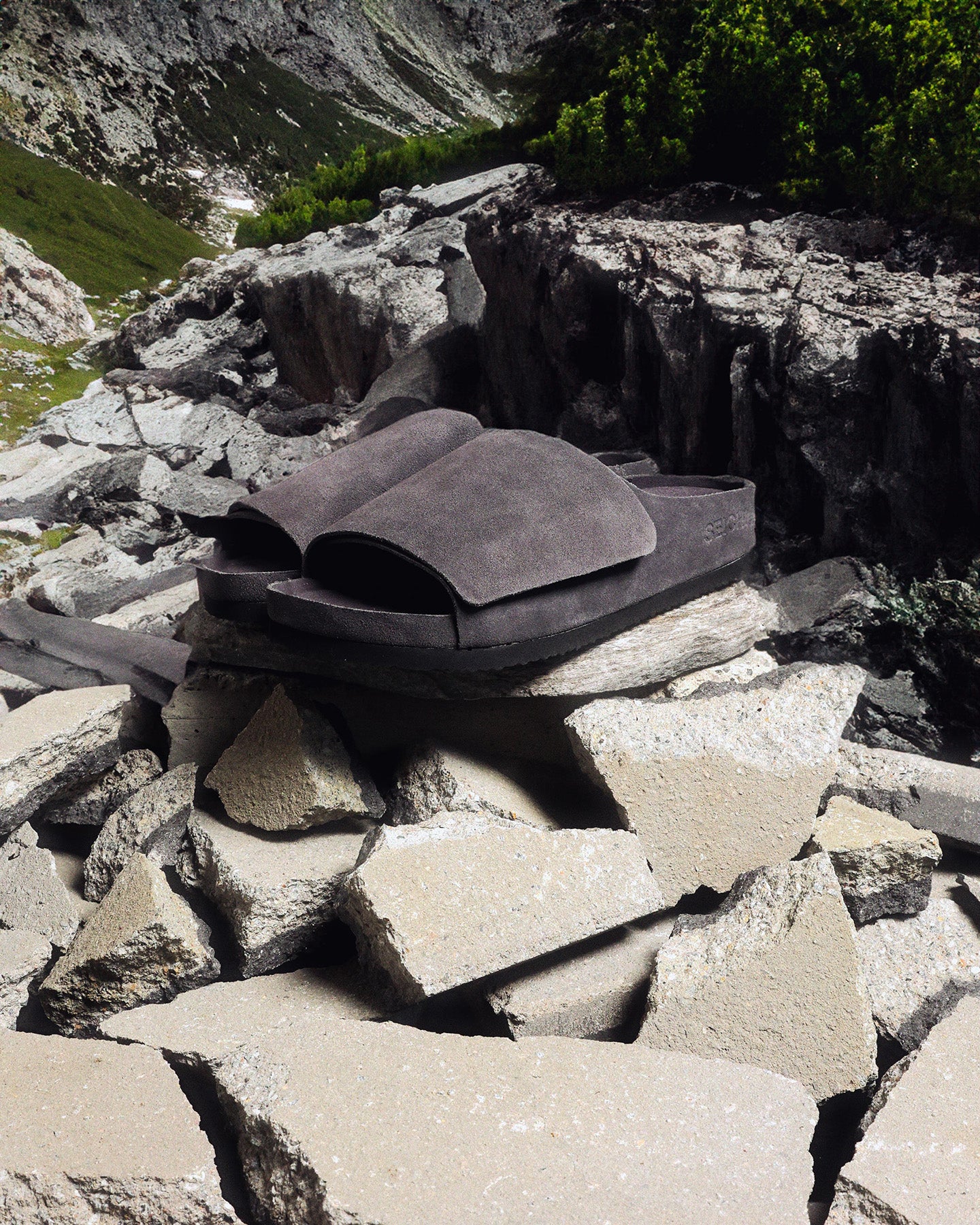 Seichi Mainichi Charcoal、mySite、zt4zffjzw