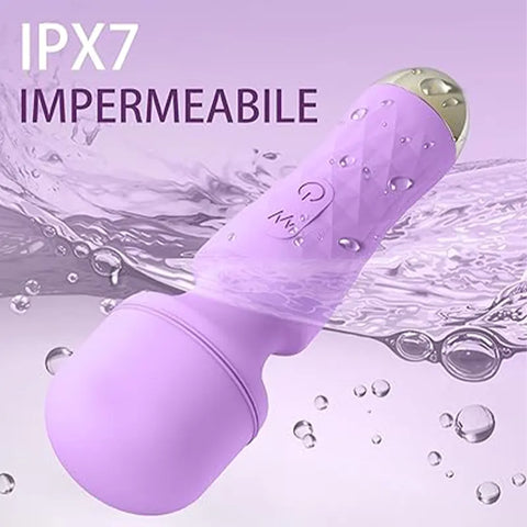 Versatile Dual Wand Vibrator